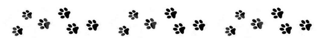 CITC_paw_prints_banner