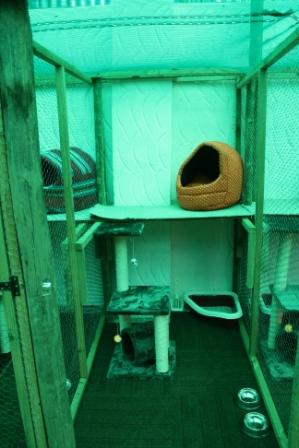 Comfortable_Cages_1