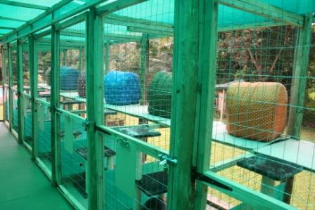 Garden_Rooms_1